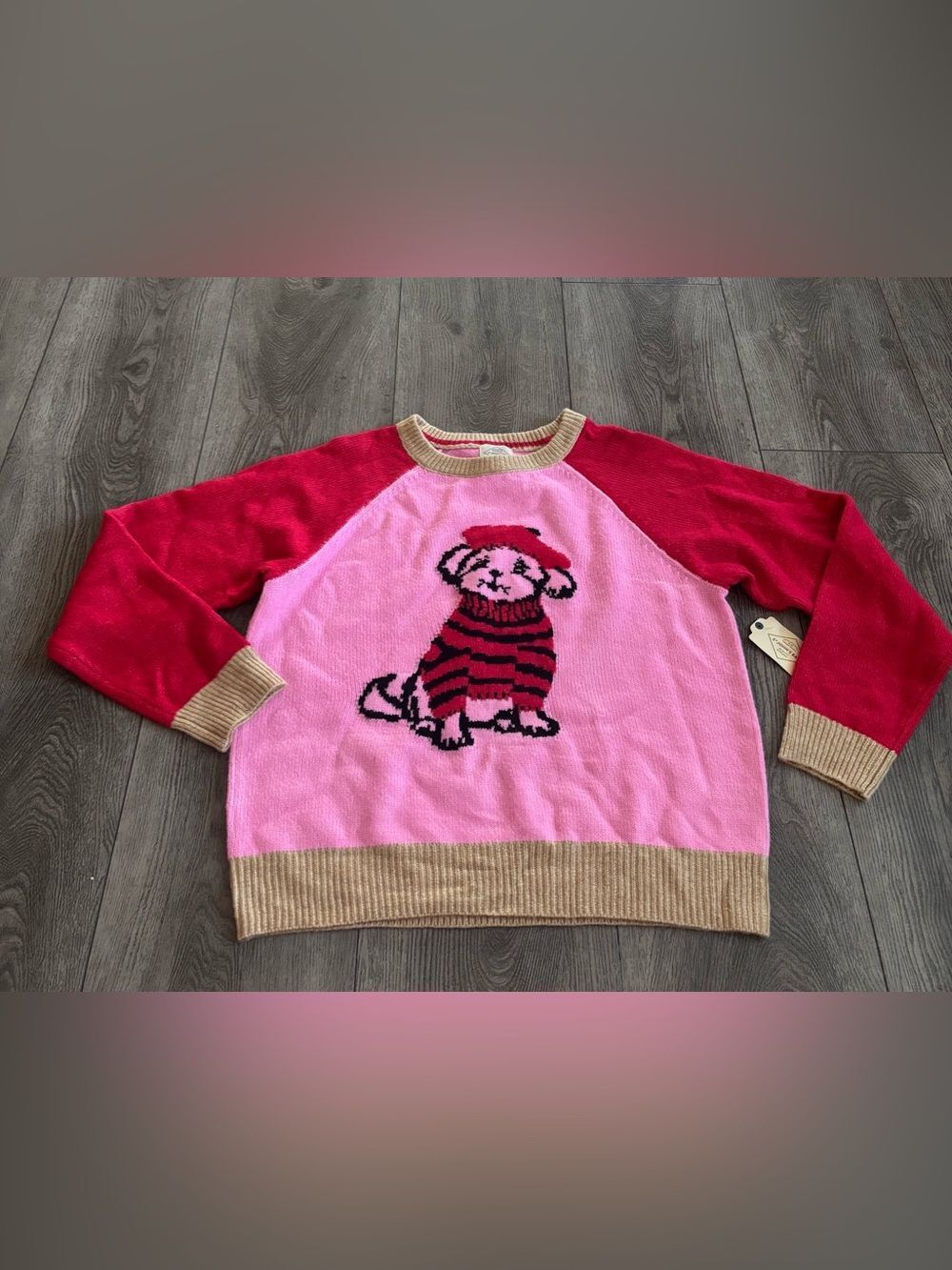 St. John bay Pink & Red Puppy Graphic Sweater